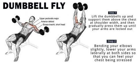 dumbbell flyes|Dumbbell Chest Fly: How to, Benefits, Safety, Variations